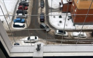 крепление стальной оконной решетки антикошка